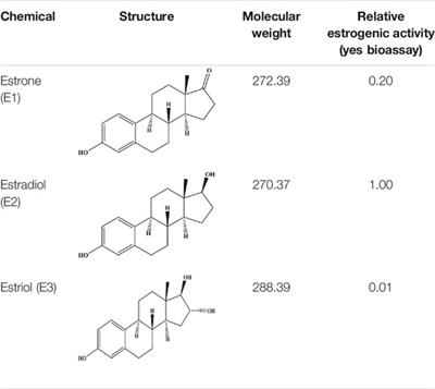 The Pathological Mechanisms of Estrogen-Induced Cholestasis: Current Perspectives